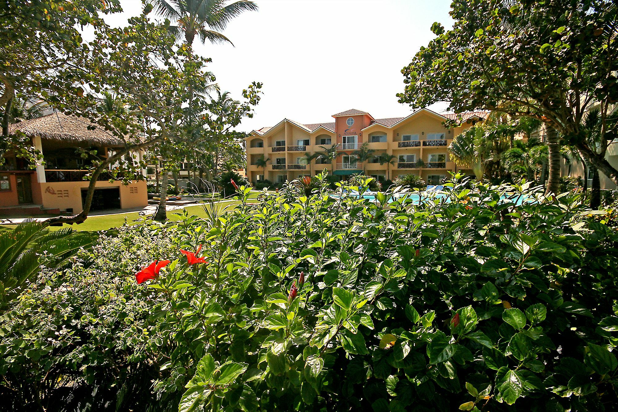 Agualina Kite Resort Cabarete Luaran gambar